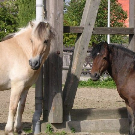 Ferien- und Gesundheitshof Zinn