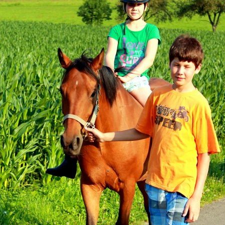 Bauernhof- und Landurlaub in Hessen