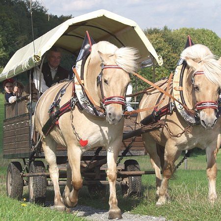 Bauernhof- und Landurlaub in Hessen