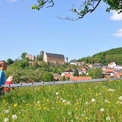Bauernhof- und Landurlaub in Hessen - Ferienhof Elm