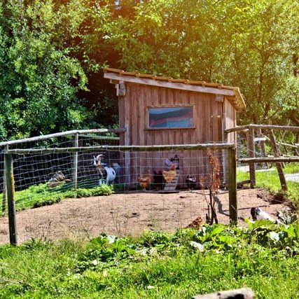 Bauernhof- und Landurlaub in Hessen - Ferienhof Horn