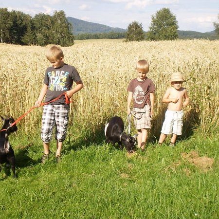 Bauernhof- und Landurlaub in Hessen