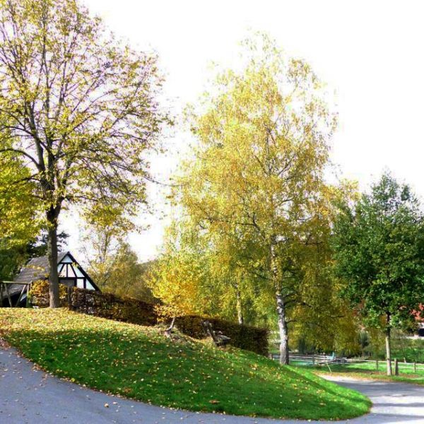 Bauernhof- und Landurlaub in Hessen - Waldhubenhof