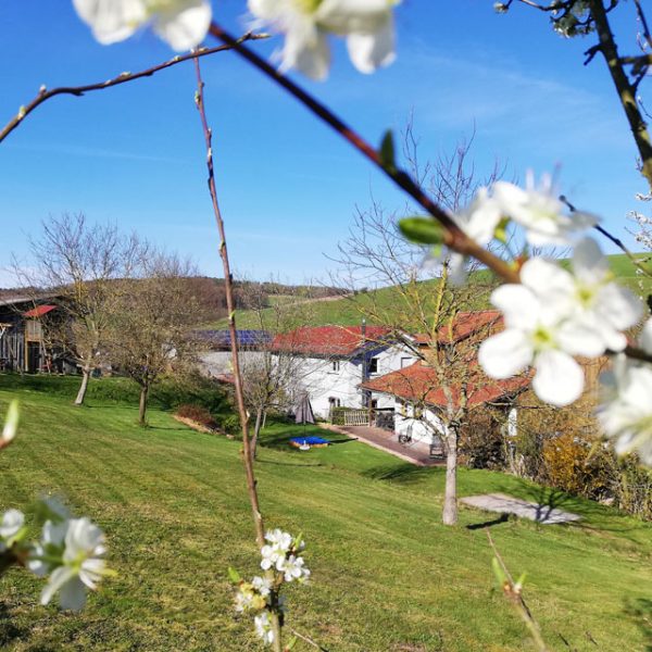 Bauernhof- und Landurlaub in Hessen - Ferienhof Kredel