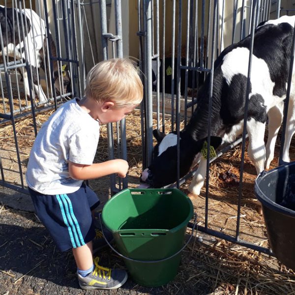 Bauernhof- und Landurlaub in Hessen - Ferienhof Kredel
