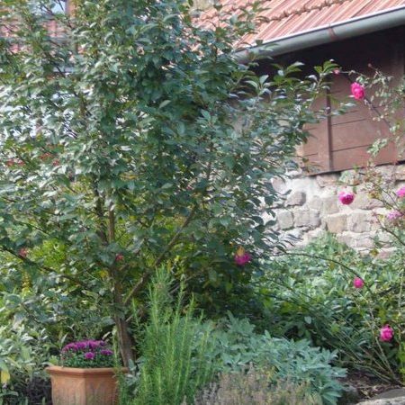 Bauernhof- und Landurlaub in Hessen