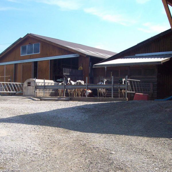 Bauernhof- und Landurlaub in Hessen - Bauernhofpension Büchsenschütz