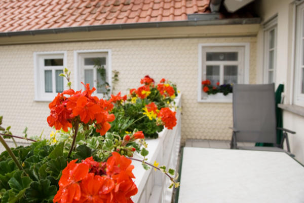 Bauernhof- und Landurlaub in Hessen - Ferienhof Zinn Ferienwohnung Schwalbe