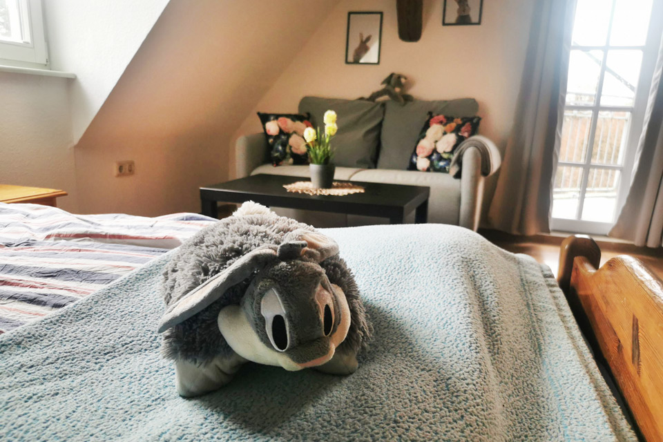 Bauernhof- und Landurlaub in Hessen - Kahlsmuehle - Doppelzimmer Bugs Bunny